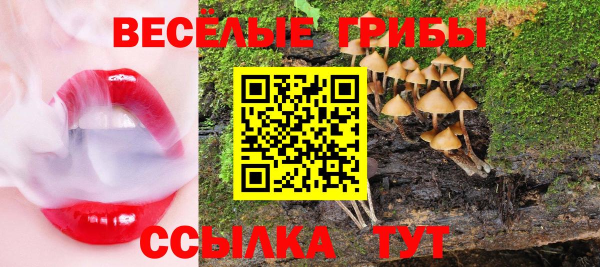 Псилоцибиновые грибы Magic Shrooms  Вход с VPN  Псилоцибиновые грибы MAGIC MUSHROOMS  Губкин 