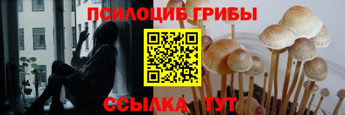 Меф МЯУ МЯУ  МЕТАДОН  Вход с VPN  Марихуана  Где найти наркотики?  МЕТ  Мефедрон   Кокаин  Губкин  ГАШ 