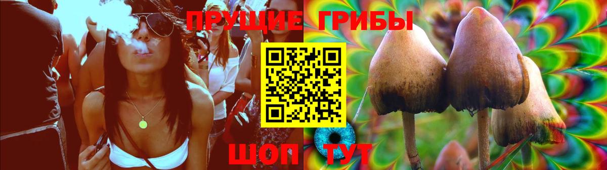 Галлюциногенные грибы GOLDEN TEACHER Губкин